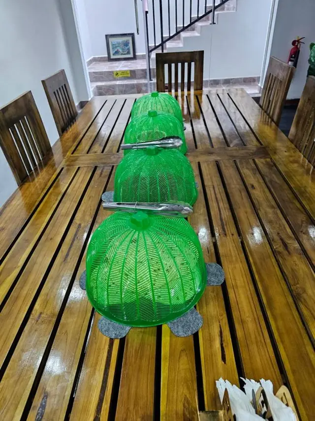 Long wooden dining table on the balcony set for breakfast with green food covers