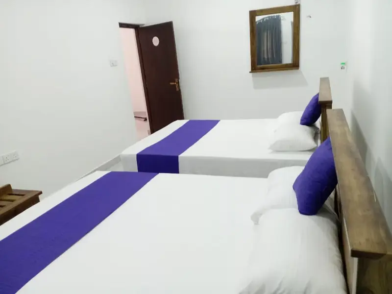 Twin room with timber beds, violet runners and a wall-mounted TV